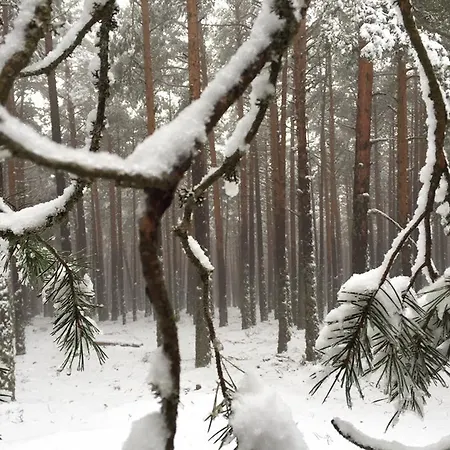 منزل ريفي Casa Rural El Lavadero